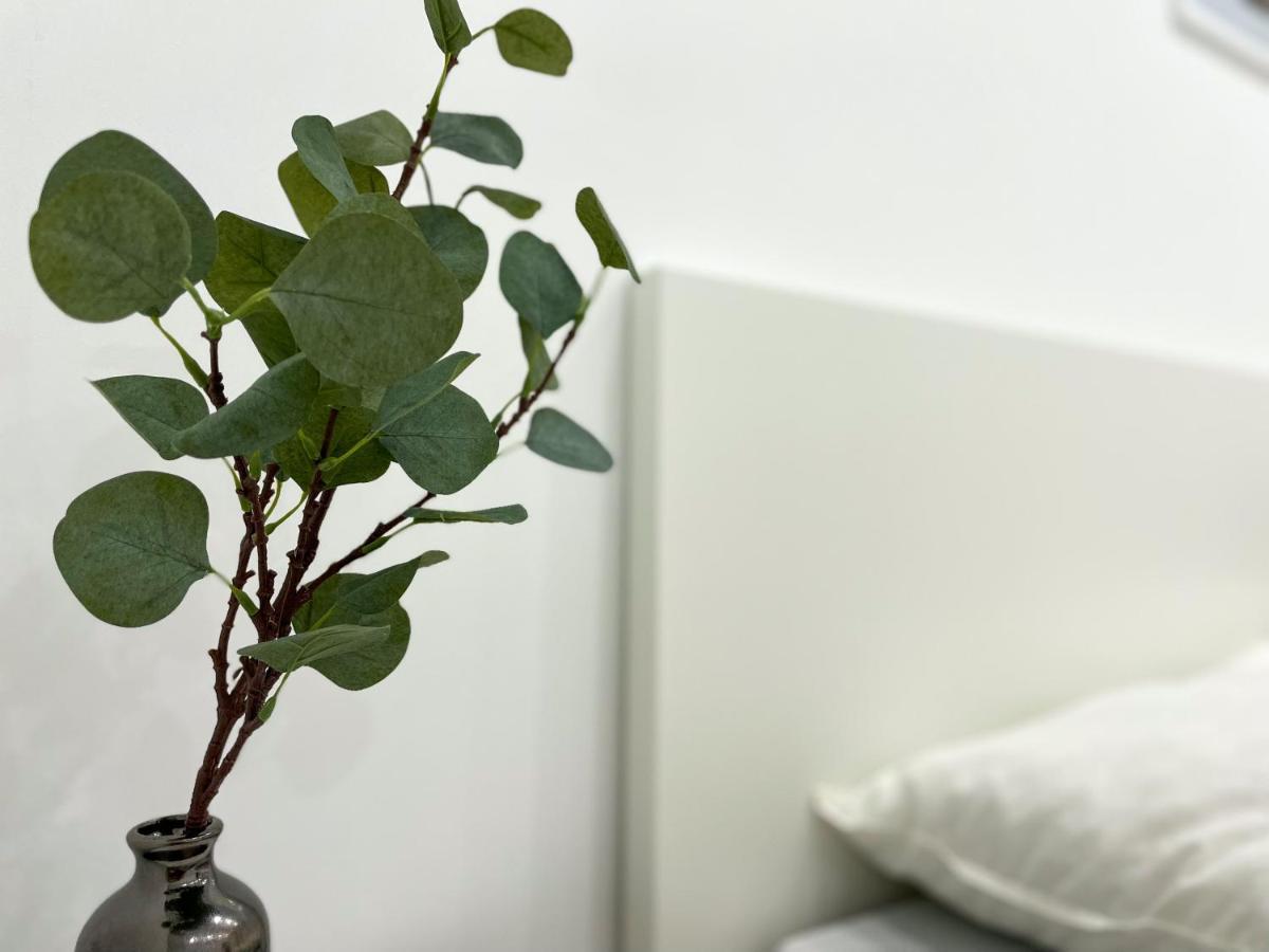 Ferienwohnung Schoenes Maifeld Polch Exteriér fotografie